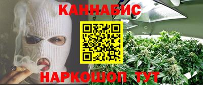 мдпв Бийск