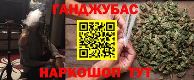 мдпв Бийск