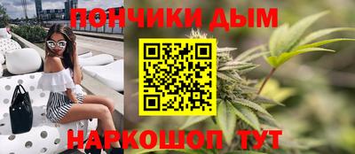мдпв Бийск