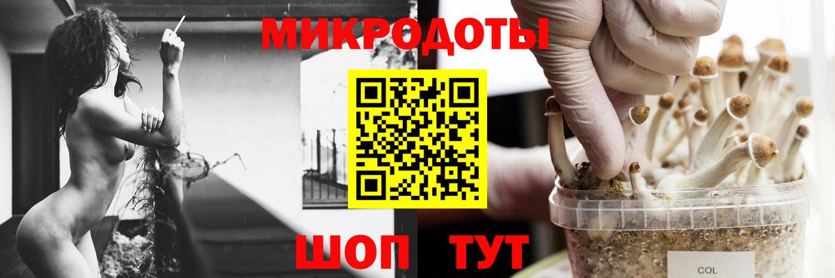 Коломна  купить наркотик  Вход с VPN  Галлюциногенные грибы GOLDEN TEACHER 